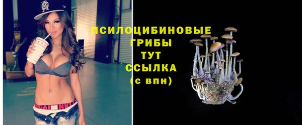 спайс Алексеевка