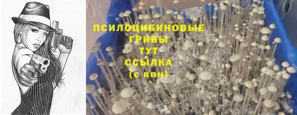 спайс Алексеевка