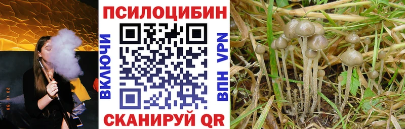 Псилоцибиновые грибы Psilocybine cubensis  MEGA рабочий сайт  Спасск 