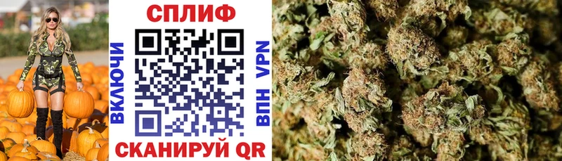 Канабис SATIVA & INDICA  маркетплейс какой сайт  Спасск 